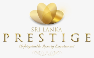 Image Image Image Image - Instagram #6285172