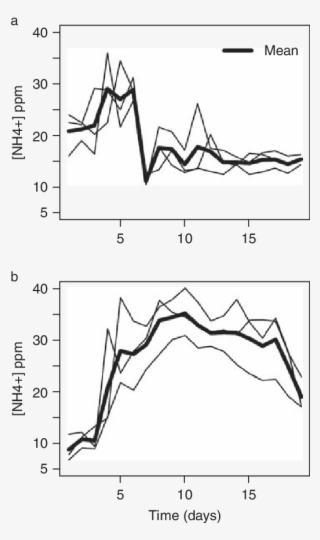 Ammonia Concentration Dynamics - Drawing #6285237