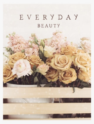 994981 2 - Garden Roses #6285764