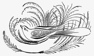 This Is Another Lovely, Antique Label Digital Stamp - Calligraphic #6286284