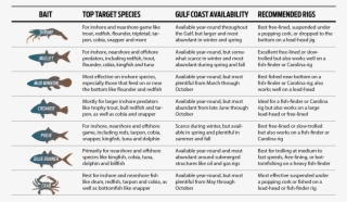 Fishing With Live Bait - Paper #6287843