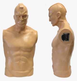 Hawk Torso - Upper Limb #6291277