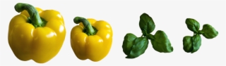 Food #6292641