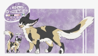 #asteroidcat Hashtag On Twitter - Cartoon #6293448