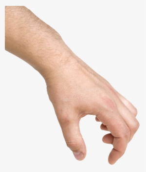 I Want My Honey Mustard Back - Sign Language #630669