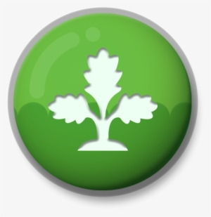 Kitty Safari - Television Show #630719