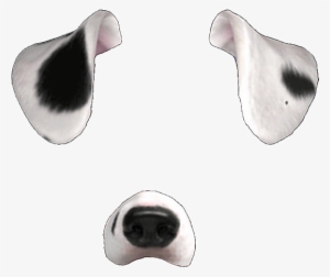 Snapchat Transparent Dog - Snapchat Filters Transparent #630720