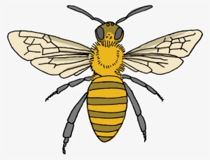 Honey Bee - Tattly #631473 Honey Bee - Tattly #631473