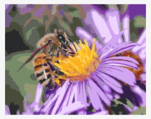 This Free Icons Png Design Of European Honey Bee Extracts #632121