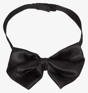 Whatzupwiththat - Fashion Accessory #632528