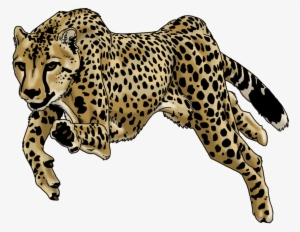 Running Cheetah Png High-quality Image - Drawn Pics Of A Cheetah Running #635269