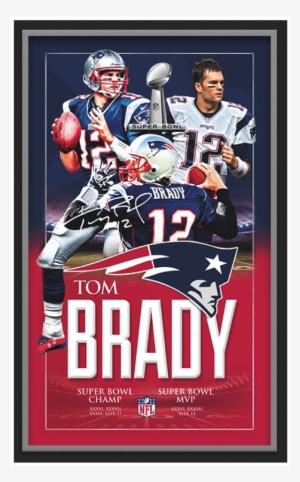 Tom Brady Nfl Superbowl Print - Cute Black Cat Baby Wall Print Poster Decor 24x18 #635597