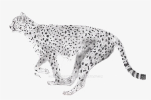 Running Cheetah Png Image With Transparent Background - Portable Network Graphics #635642