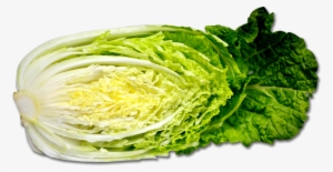 Fox Transparent Png Sticker - Cabbage #635701