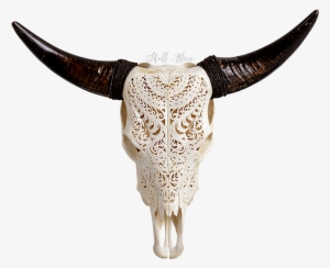 Https Skullbliss Com Collections - Cow Skull #636137