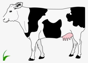 Cattle Clipart Cow Head - Cow And Calf Clip Art #636220