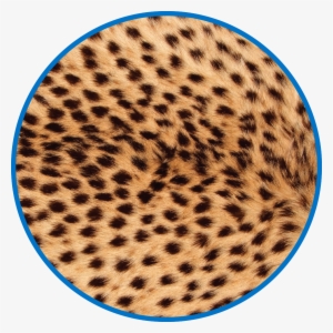 Clinical And Ancillary Supply Chain - Cheetahs Skin #636240