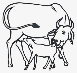 Collection Of Free Cows Drawing - Cow And Calf Drawing #636291