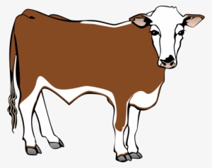 Steer Drawing At Getdrawings - Steer #636382