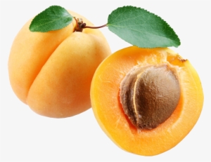 Apricot Png #636595