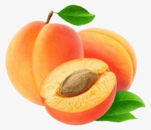 Free Png Apricot Image Png Images Transparent - Apricot Png #636615