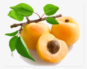 Apricot Png Picture - Apricot Fruit #636768