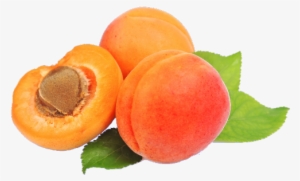 Apricot Png Free Download - Afourar #636814