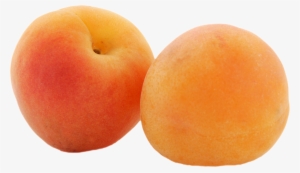Apricot Png - Fruit Apricot #636914