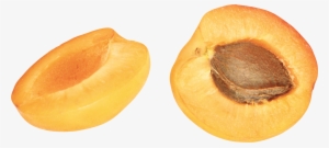 Apricot Png #636934