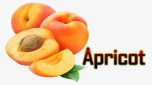 Apricot Png #637014