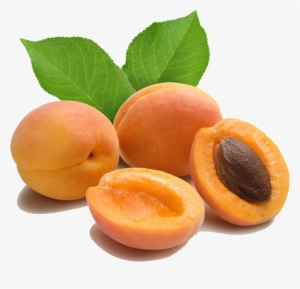 Apricot Images Png #637325