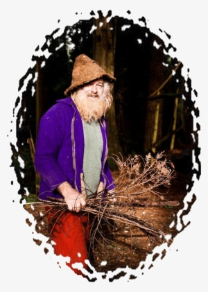 Sunray Kelley - Sun Ray Cedro Kelley #637377