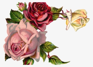 Free Digital Flower Pink Rose Corner Design - Vintage Rose Corner Png #637803