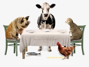 Food Choices #637956