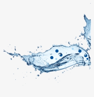 Watercolor Cactus Pot Ornamented Silhouette #638774