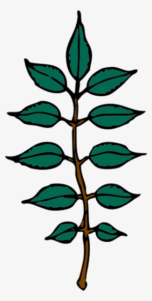 Ash Wed Clip Art - Leaves Clip Art #638821