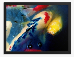 Upstream Koi Framed Poster Print #639274