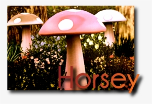Horseya2 - Shiitake #639637