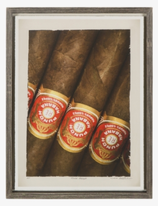 Modern - Still Life #6300485