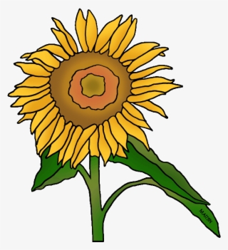 Sunflower Clipart Kansas - Philip Martin Clip Art Plants #6301355