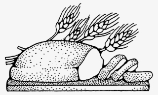 Bread Wheat Grain - Carbohydrates Black And White #6302787