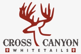 2018 Year Round Sponsors - Colossal Hoax: The Giant From Cardiff #6302916