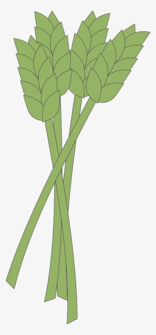 Vector Graphics, - Clip Art #6303164