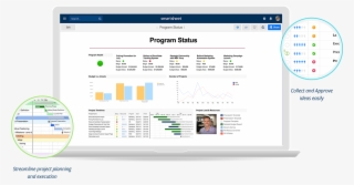 Operate Your Business Solution Spotlight - Software Development #6303919