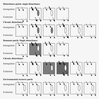 Patch - Disturbance Patch #6305806