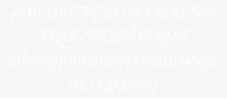 The Result Is A Charming Script With Elegantly Curved - Wordpress Logo White Png #6306148