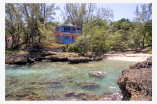 Strawberry Fields Together! #6306325