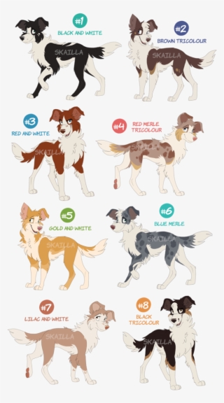 Svg Royalty Free Library Collie Drawing Colorful - Painting #6308660