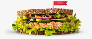 Salmon Salad - Druxy's #6312372