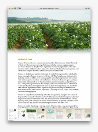 Digital Download - Grass #6312419